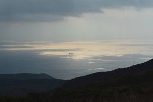 DSC_1741